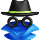 Incognito-Mode-2.png